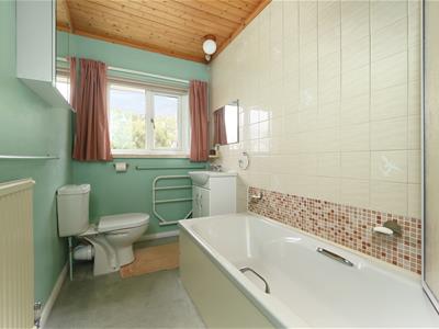 Picture 24